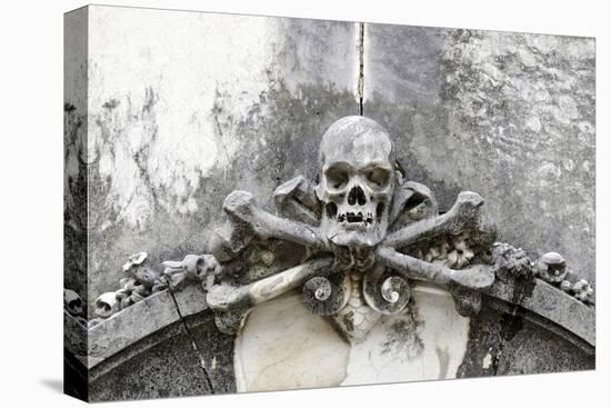 Historical Cemetery, Tomb, Burial Chamber, Skull, Medium Close-Up-Axel Schmies-Premier Image Canvas