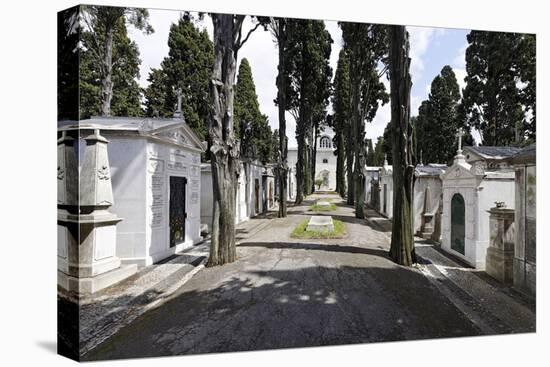 Historical Cemetery, Tombs, Burial Chambers, Cemiterio Dos Prazeres, Prazeres, Lisbon, Portugal-Axel Schmies-Premier Image Canvas