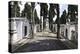 Historical Cemetery, Tombs, Burial Chambers, Cemiterio Dos Prazeres, Prazeres, Lisbon, Portugal-Axel Schmies-Premier Image Canvas