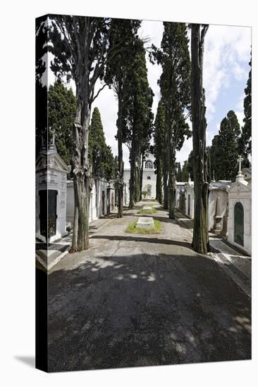 Historical Cemetery, Tombs, Funerary Chambers, Cemiterio Dos Prazeres, Prazeres, Lisbon, Portugal-Axel Schmies-Premier Image Canvas