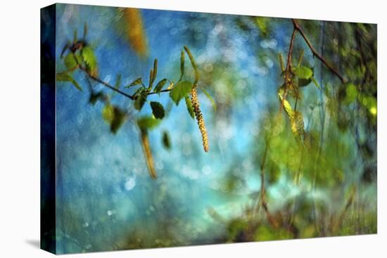 Hit by the sun-Heidi Westum-Premier Image Canvas