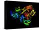 HIV Reverse Transcription Enzyme-Laguna Design-Premier Image Canvas