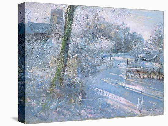 Hoar Frost Morning, 1996-Timothy Easton-Premier Image Canvas