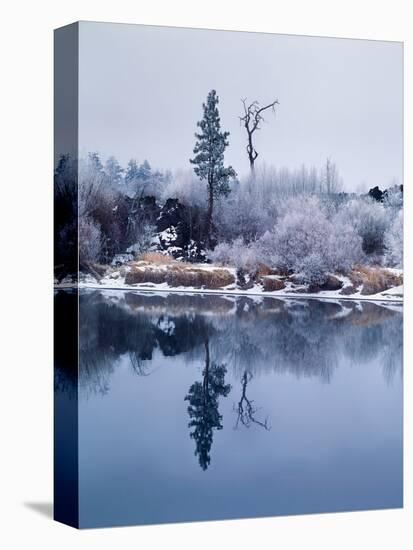 Hoar frost on Pacific willow, Deschutes River, Deschutes National Forest, Deschutes County, Oreg...-null-Premier Image Canvas