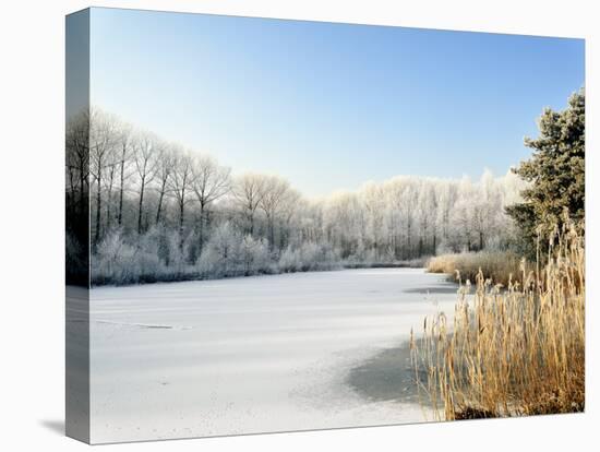 Hoarfrost Covered Trees Along Frozen Lake in Winter, Belgium-Philippe Clement-Premier Image Canvas