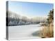 Hoarfrost Covered Trees Along Frozen Lake in Winter, Belgium-Philippe Clement-Premier Image Canvas