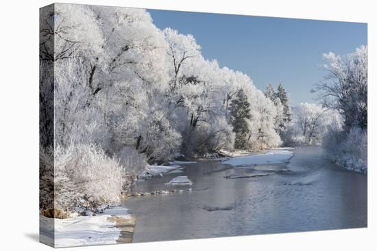 Hoarfrost, Loisach, Kochel Am See, Bavarians, Germany-Rainer Mirau-Premier Image Canvas