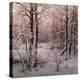 Hoarfrost-Ivan Avgustovich Velz-Premier Image Canvas