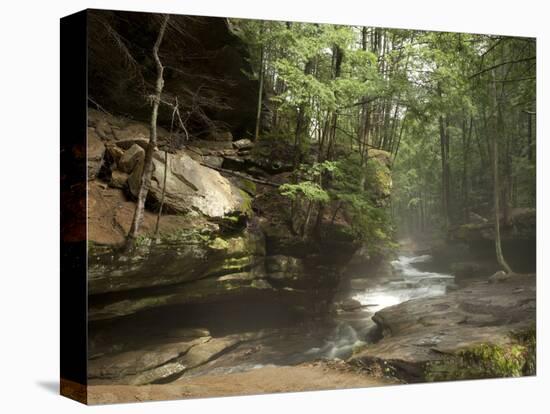 Hocking Hills State Park, Ohio, United States of America, North America-Michael Snell-Premier Image Canvas