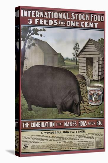 Hog Food-null-Premier Image Canvas