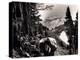 Hoh-Solduc Trail, Olympic Peninsula, Undated-Asahel Curtis-Premier Image Canvas