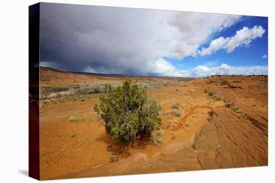 Hole in the Rock Road Near Escalante Utah Offers Many Scenic Spots-Richard Wright-Premier Image Canvas