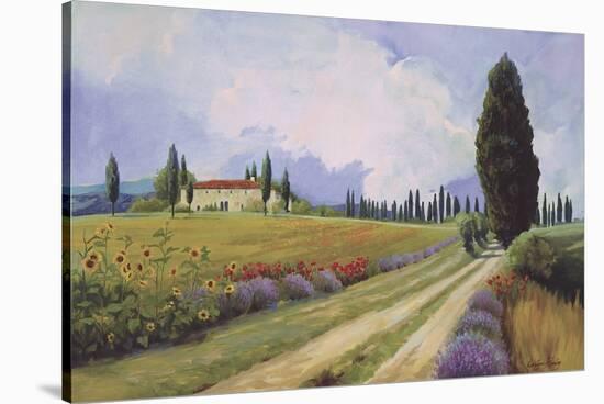 Holiday in Tuscany-Carolyne Hawley-Stretched Canvas