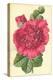 Hollyhock-Frederick Edward Hulme-Premier Image Canvas