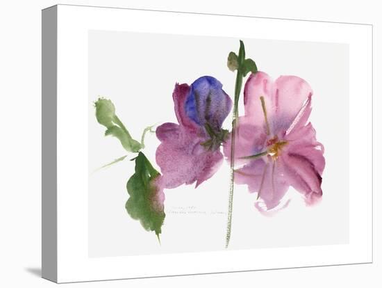 Hollyhocks, 1988-Claudia Hutchins-Puechavy-Premier Image Canvas