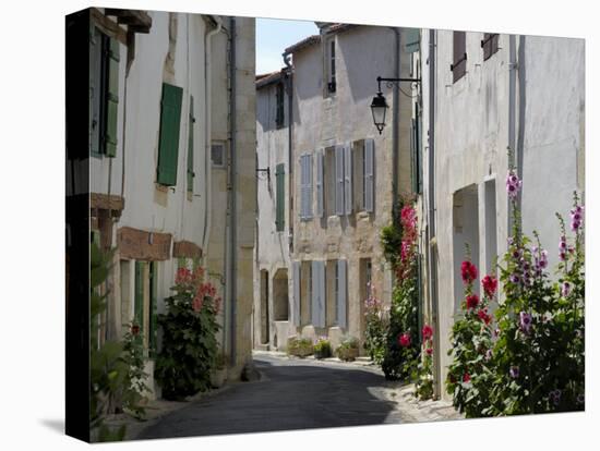 Hollyhocks Lining a Street, La Flotte, Ile De Re, Charente-Maritime, France, Europe-Richardson Peter-Premier Image Canvas