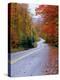 Hollywood Rd at Route 28, Adirondack Mountains, NY-Jim Schwabel-Premier Image Canvas