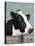 Holstein Cow I-Jade Reynolds-Stretched Canvas