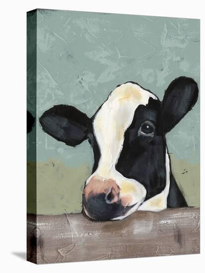 Holstein Cow II-Jade Reynolds-Stretched Canvas