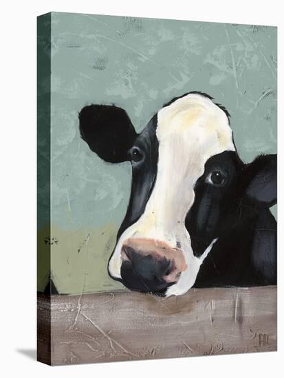 Holstein Cow III-Jade Reynolds-Stretched Canvas