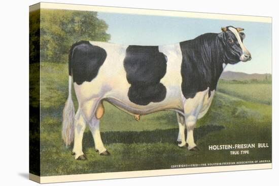 Holstein-Freisian Bull-null-Stretched Canvas