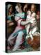 Holy Family with St John-Giorgio Vasari-Premier Image Canvas