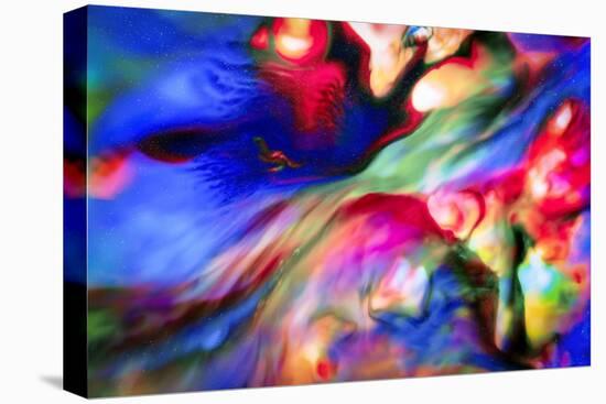 Homage to the Hubble-Ursula Abresch-Premier Image Canvas