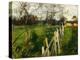 Home Fields, C.1885 (Oil on Canvas)-John Singer Sargent-Premier Image Canvas