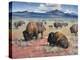 Home on the Range-Jack Sorenson-Stretched Canvas