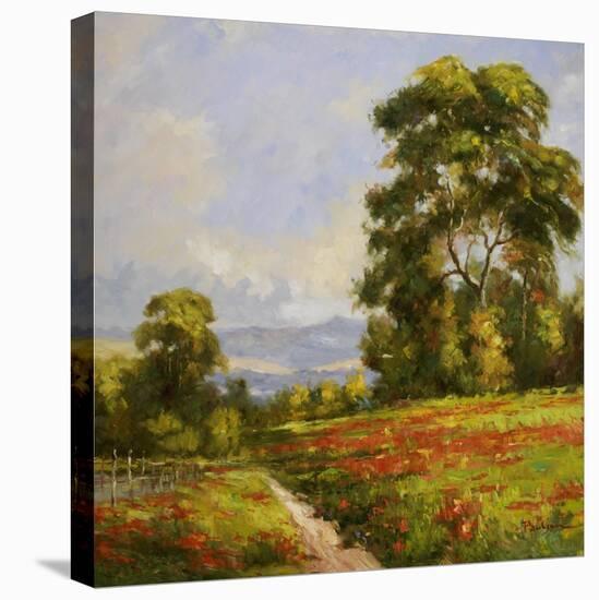 Home Trail Flowers-Hannah Paulsen-Stretched Canvas