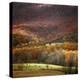 Homeland-Bill Coleman-Stretched Canvas