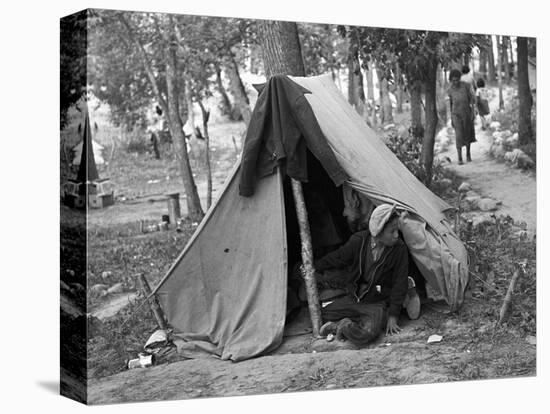 Homeless Boy, 1937-Russell Lee-Premier Image Canvas