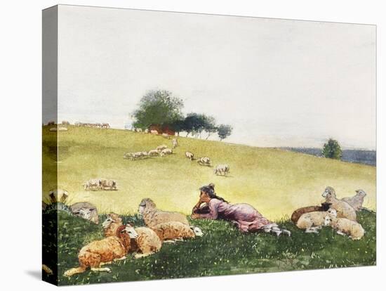 Homer's Sheep Countryside II-Winslow Homer-Stretched Canvas