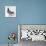 Homing Pigeon in Studio-null-Premier Image Canvas displayed on a wall