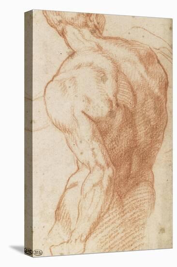 Homme nu, vu à mi-corps, de dos-Andrea del Sarto-Premier Image Canvas