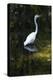 Homosassa Springs State Park, Florida: a Great Egret Fishes in the Water-Brad Beck-Premier Image Canvas