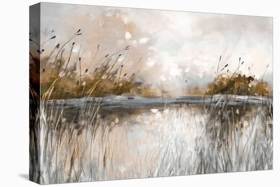 Honebloom Lake Views-Carol Robinson-Stretched Canvas