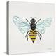 Honey Bee-Cat Coquillette-Premier Image Canvas