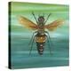 Honey Bee-Gigi Begin-Premier Image Canvas