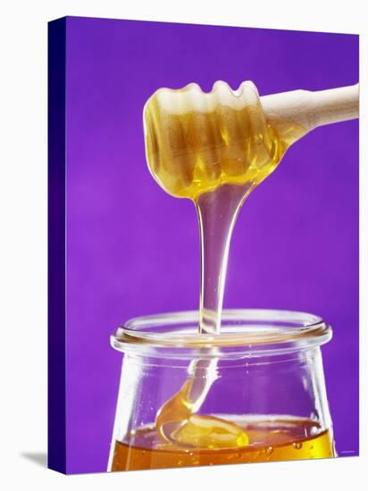 Honey Running from a Honey Dipper into a Jar-Marc O^ Finley-Premier Image Canvas