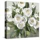 Honey White Blossoms-Carol Robinson-Stretched Canvas