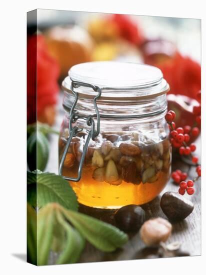 Honey with Chestnuts and Almonds in Jar-Alena Hrbkova-Premier Image Canvas