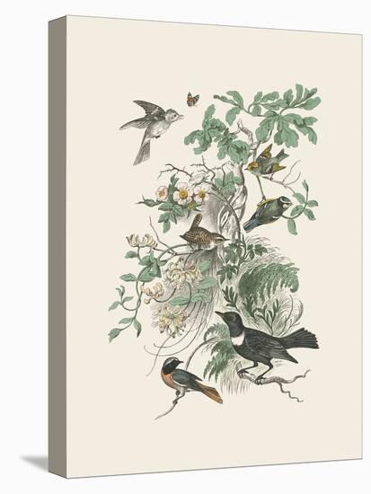 Honeybloom Bird II-Wild Apple Portfolio-Stretched Canvas