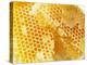 Honeycomb (Close-Up)-Colin Erricson-Premier Image Canvas