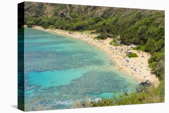 Honolulu, Hawaii, Oahu. Reef at Hanauma Bay coral from above snorkelers beach-Bill Bachmann-Premier Image Canvas