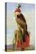 Hooded Falcon-Edwin Henry Landseer-Premier Image Canvas