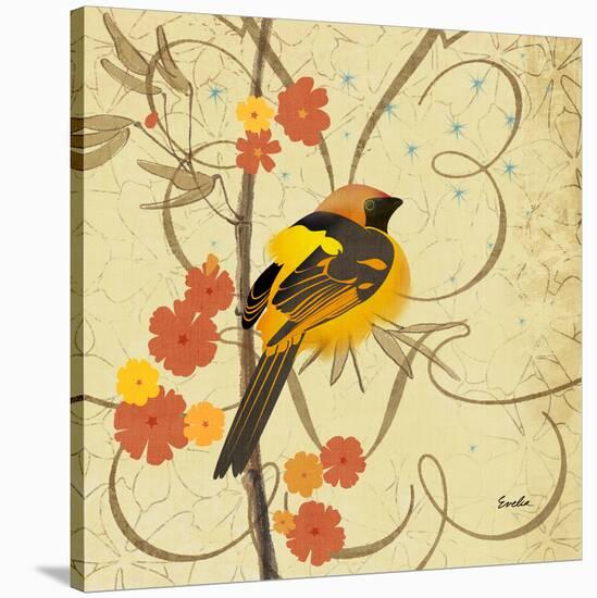 Hooded Oriole-null-Stretched Canvas