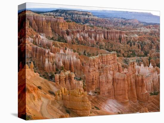 Hoodoo Rock Formations in a Canyon from Sunset Point, Bryce Canyon National Park, Utah, Usa-null-Premier Image Canvas