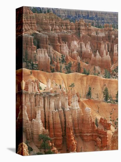 Hoodoo Sandstone Structures, Bryce Canyon National Park, Utah, USA-Pete Cairns-Premier Image Canvas