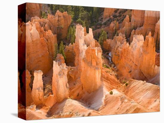 Hoodoos in Bryce Canyon from Inspiration Point, Bryce Canyon National Park, Utah, USA-Jamie & Judy Wild-Premier Image Canvas